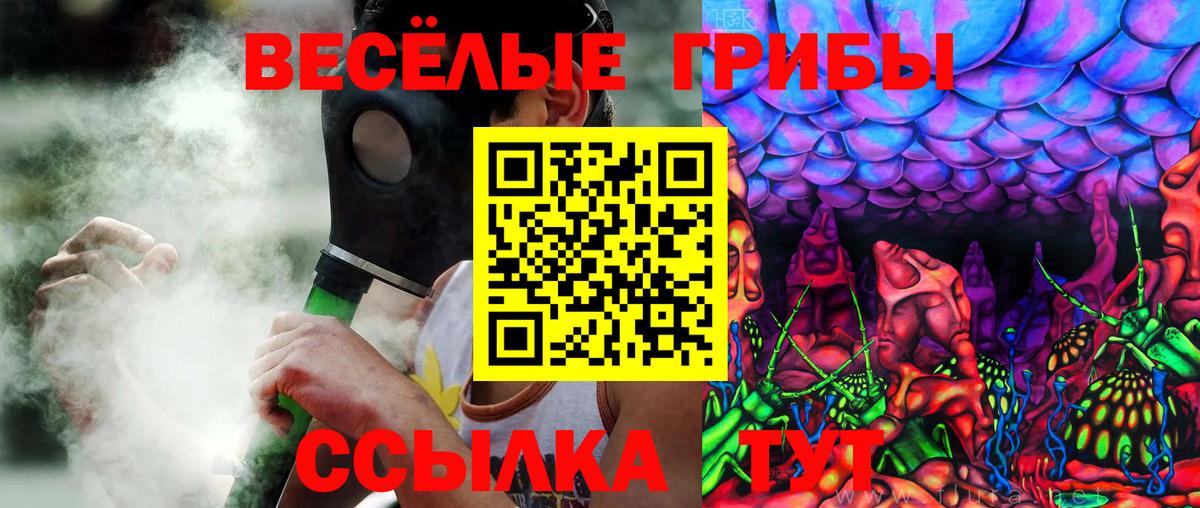 Галлюциногенные грибы Magic Shrooms Вышний Волочёк